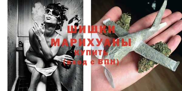 шишки Алзамай